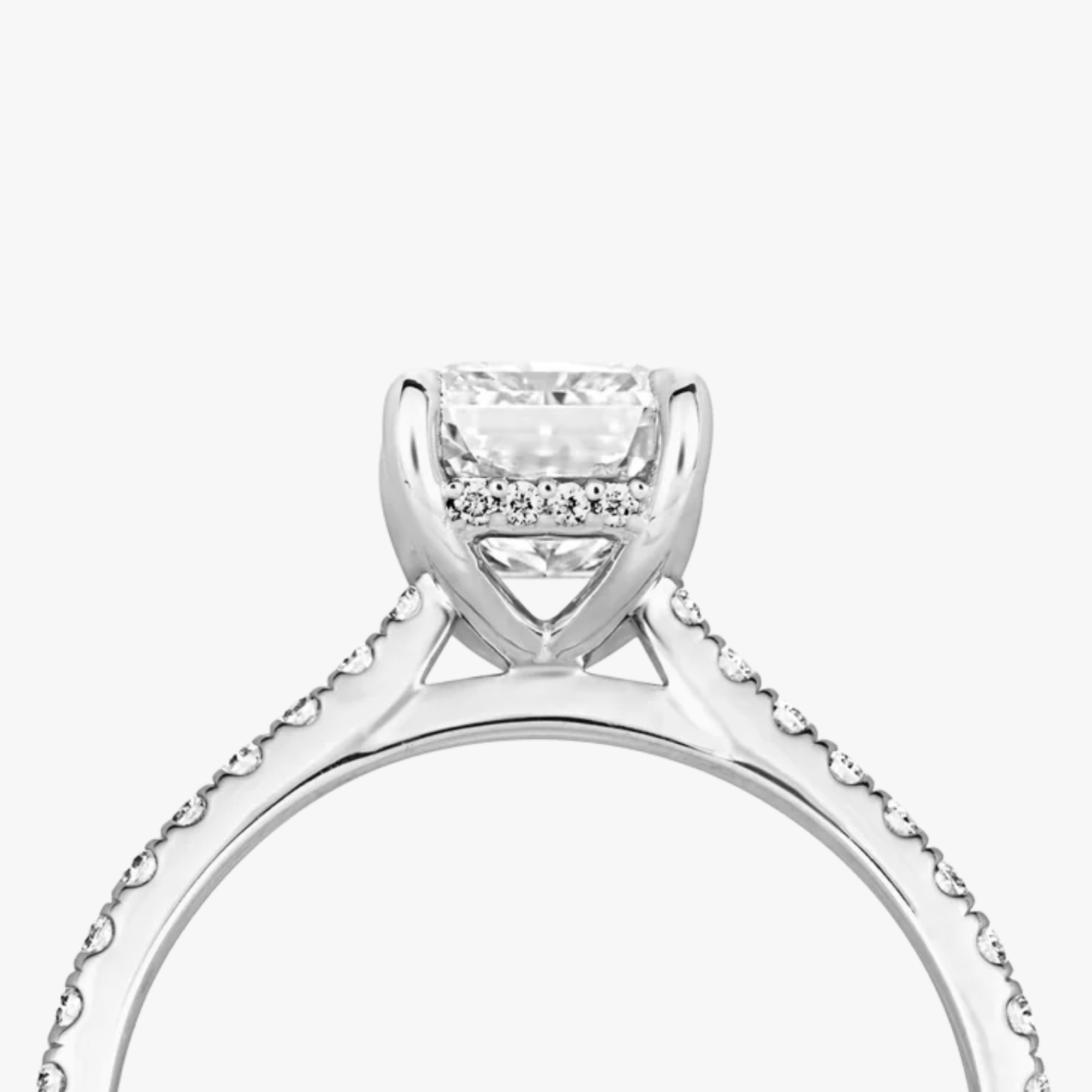 Hidden Halo Pave Ring - Carrie K.