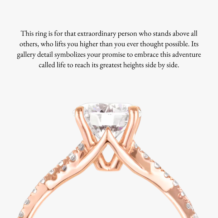 Pinnacle Infinity Full Diamond Ring - Carrie K.