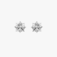 Star Mini Studs (14K Gold) - Carrie K. 